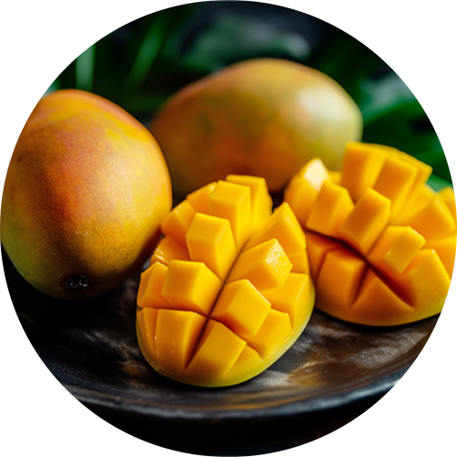 Export-Grade Kesar Mango – Sweet and Aromatic