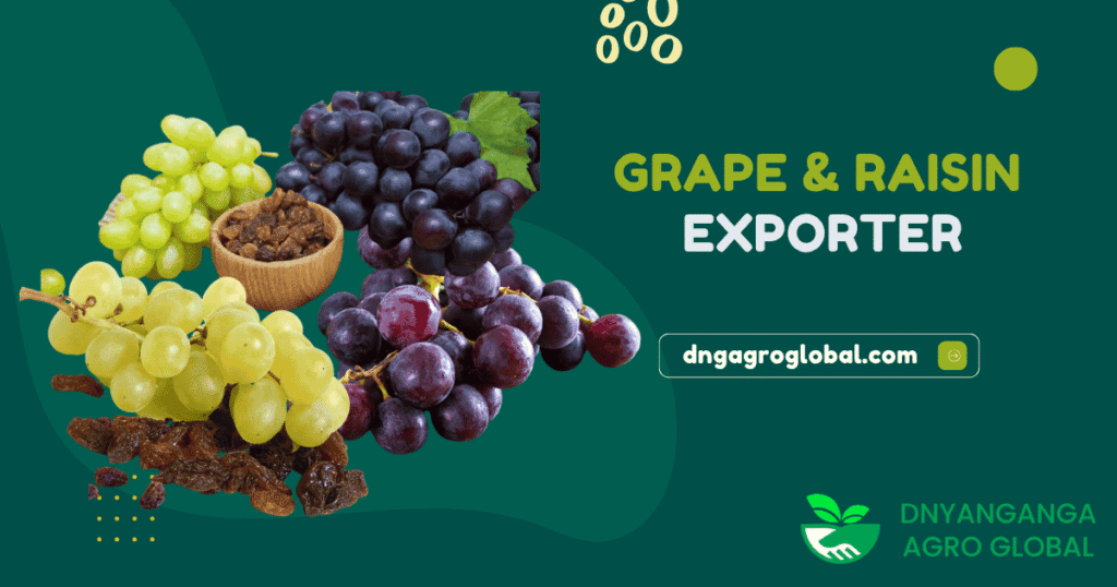 The Power of Grapes & Raisins: Nature’s Sweetest & Healthiest Snack Combo!