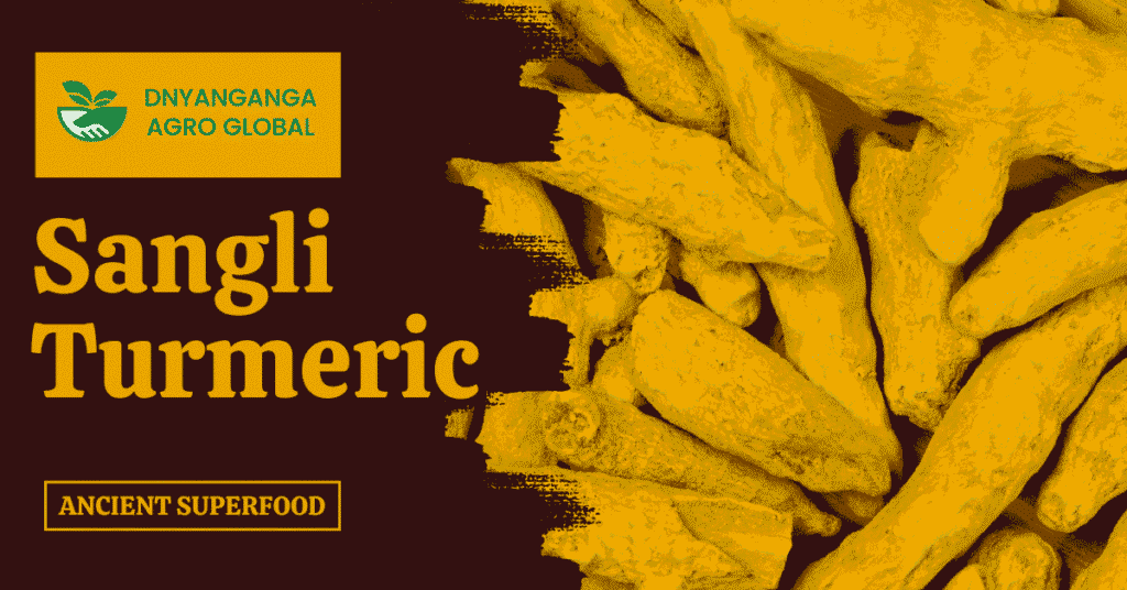 Sangli Turmeric: The Ancient Superfood Everyone’s Talking About in 2025!