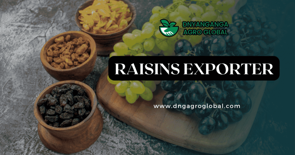 Why Raisins Are the Next Big Thing in Global Exports – Discover the Growing Trend