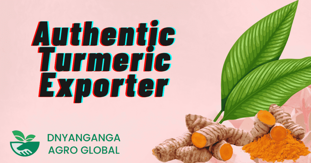Sangli Turmeric: The Golden Elixir for Natural Healing and Wellness