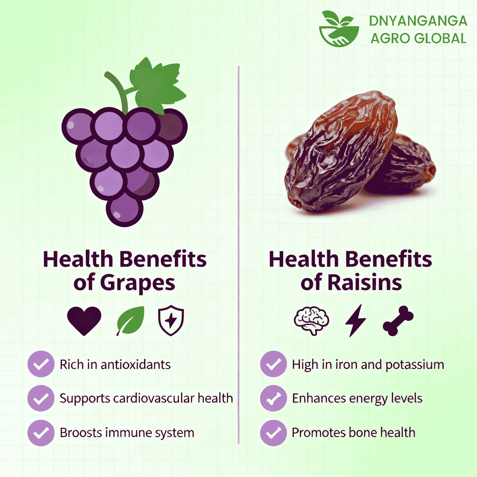 The Amazing Health Benefits of Grapes and Raisins You Didn’t Know About!