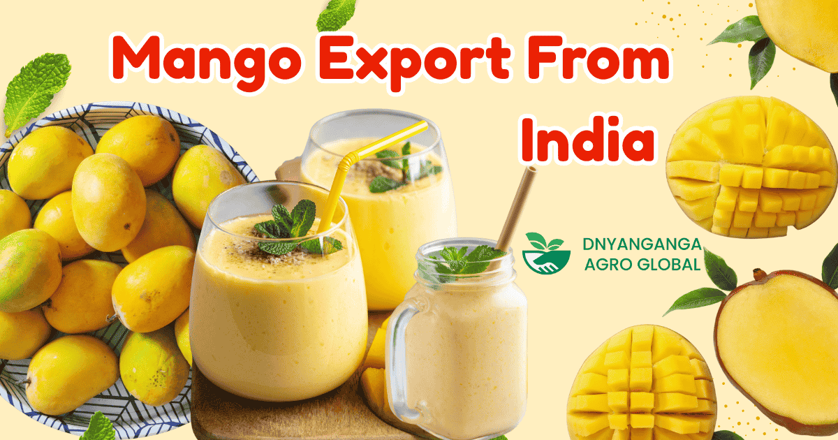 The Business of Sweet Success: How Mango Exporters Are Making Waves in International Markets
