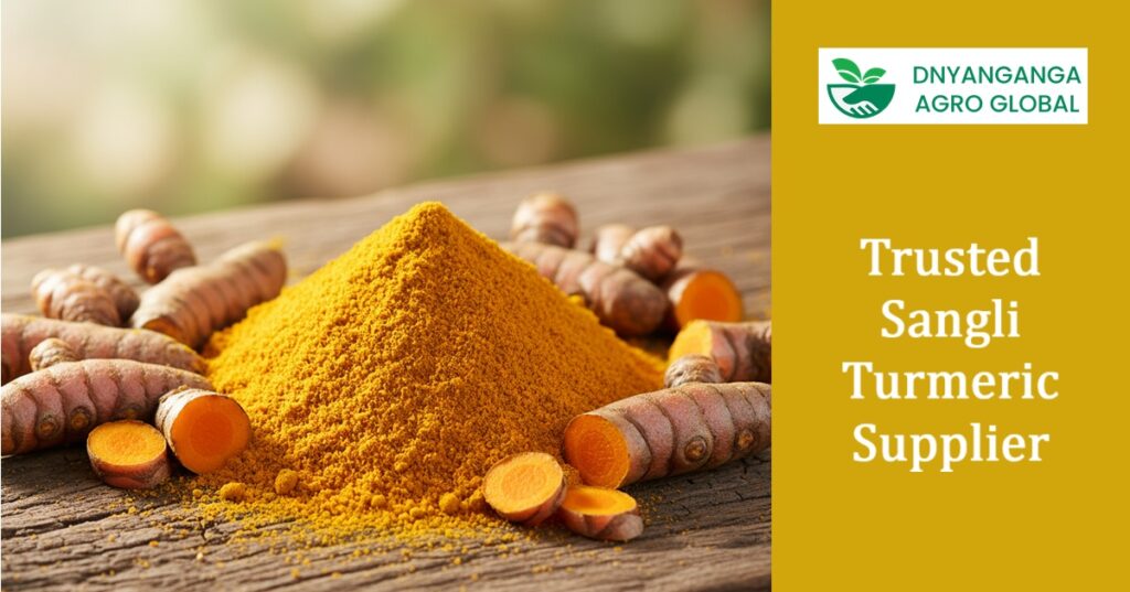 Trusted Sangli Turmeric Supplier Bringing India’s Golden Spice to Global Markets