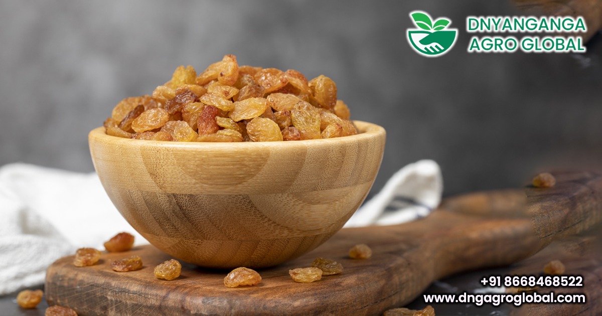 Indian Kishmish vs Regular Raisins – What Makes It the Premium Choice?